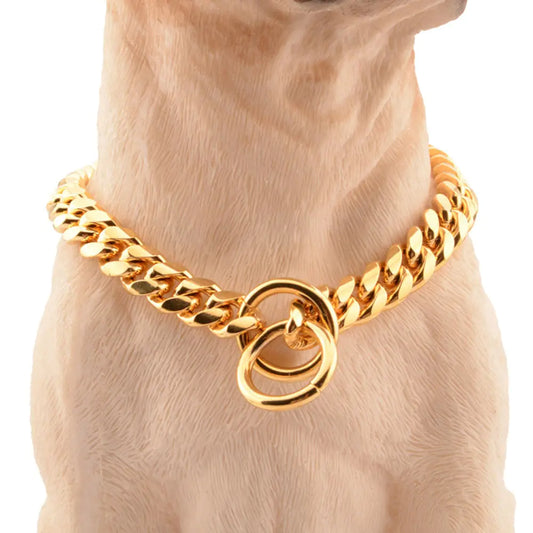 LuxeDog: Collar de Cadena Dorada